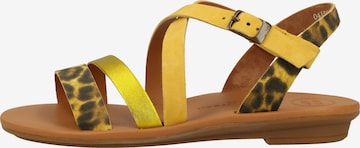 Paul Green Sandalen met riem in Geel