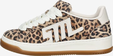 STEVE MADDEN Sneaker in Beige: Vorderseite