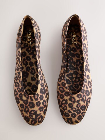 Next Ballerina in Bruin