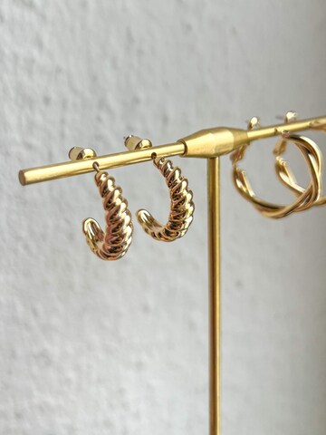 Kamakula Earrings 'Twisted Croissant' in Gold
