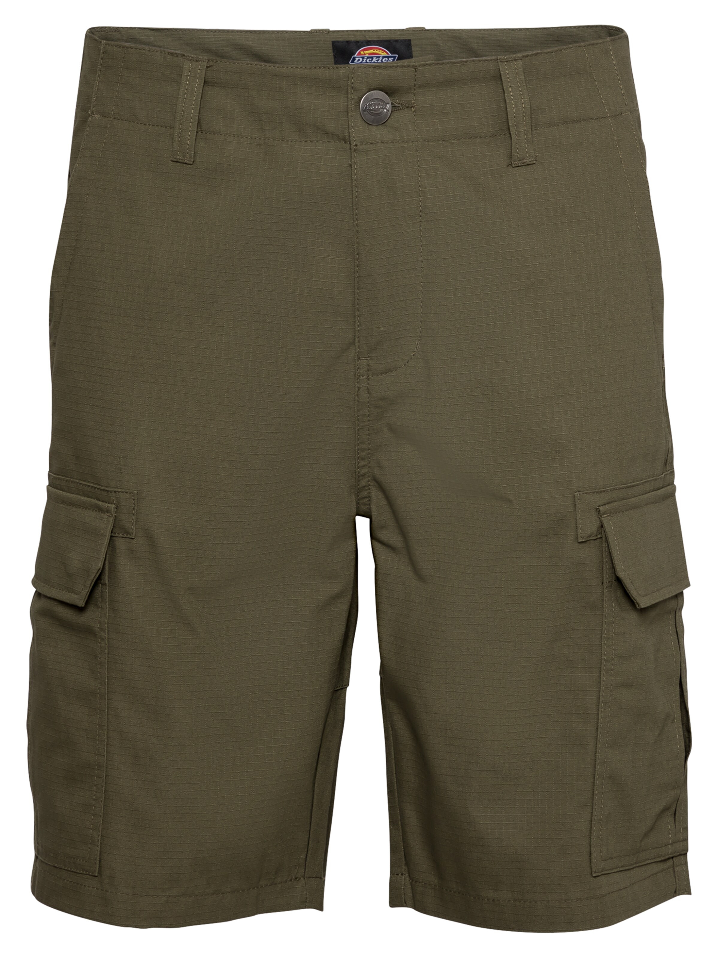DICKIES Cargo trousers in Green: front