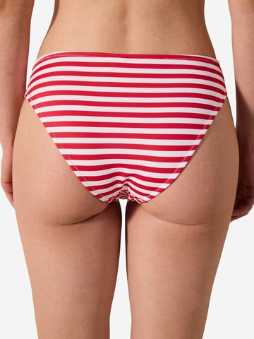 Penti Bikini bottom 'Bikinihosen' in Mixed colours