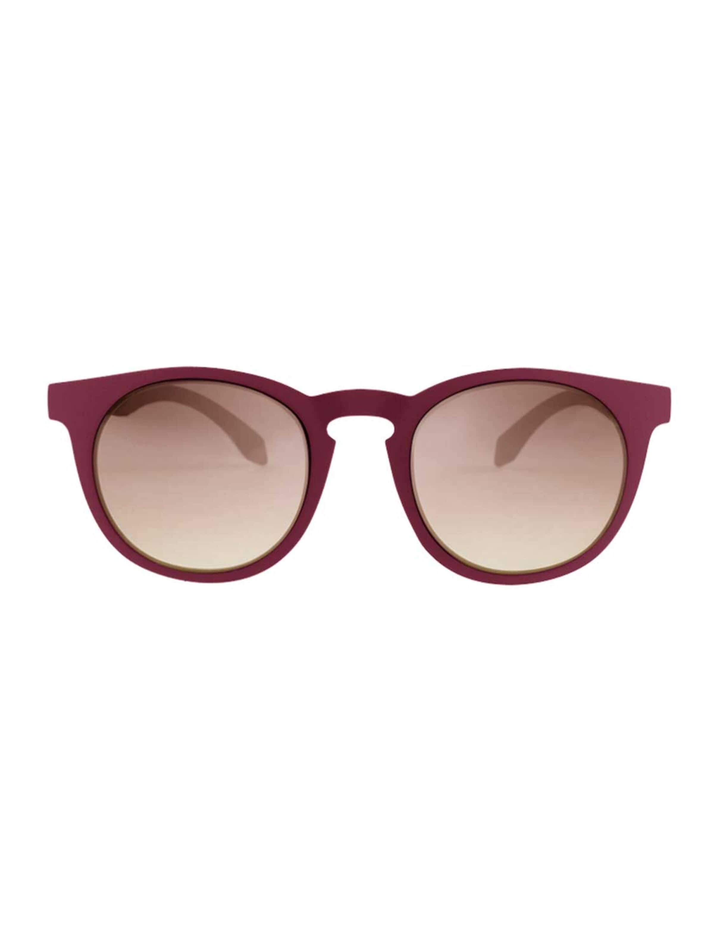 Alsteca Sunglasses 'Wynwood C02' in Brown: front