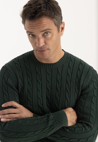 Felix Hardy Pullover i grøn