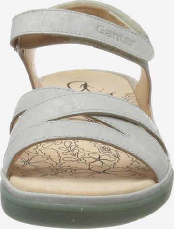 Ganter Sandals in Grey