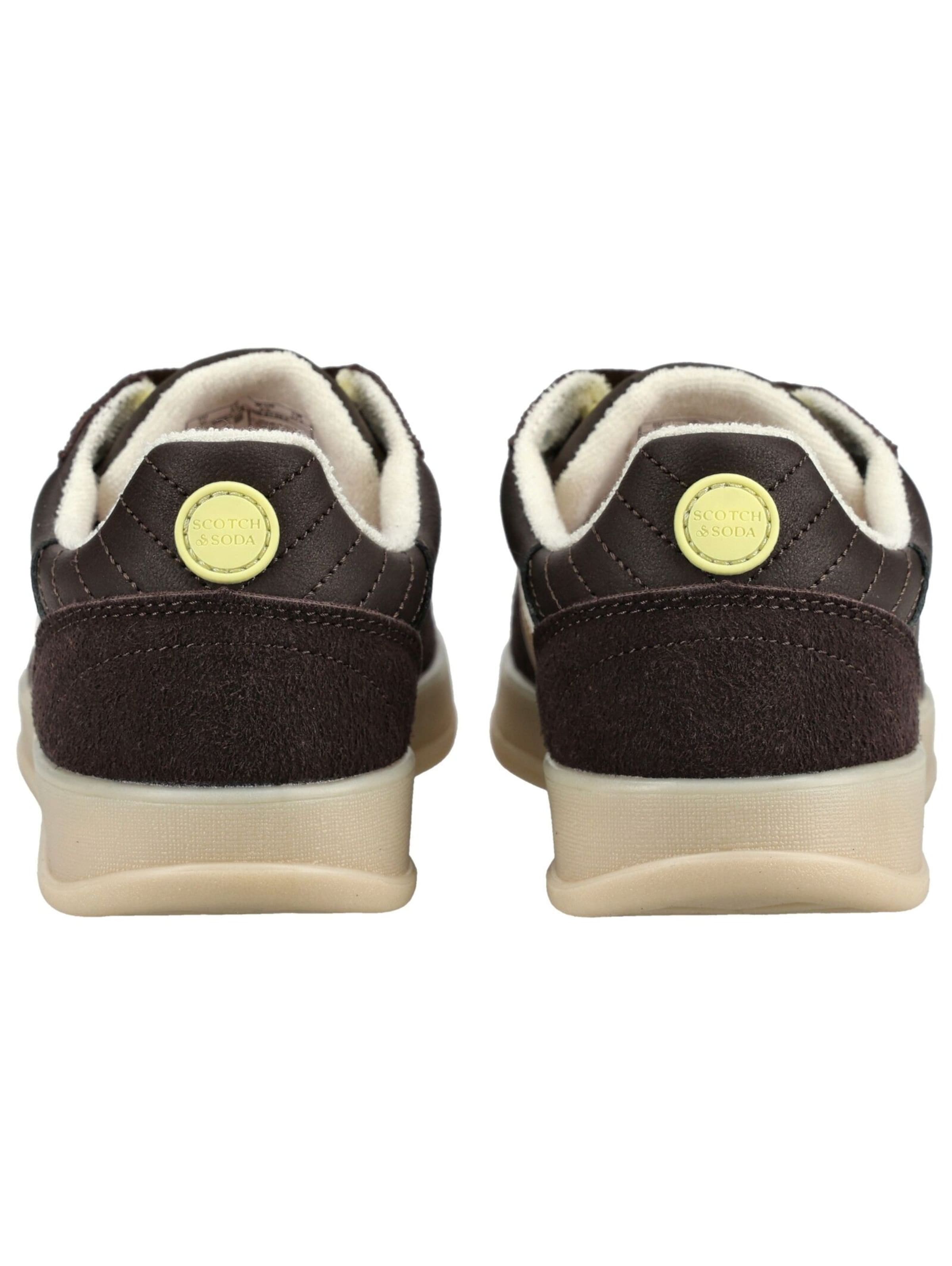 Baskets basses SCOTCH & SODA en marron