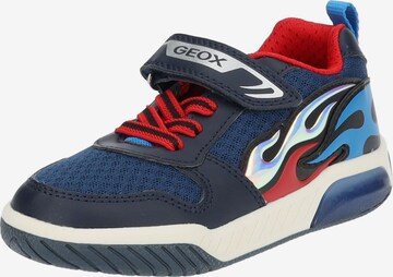 Sneaker di GEOX in blu: frontale