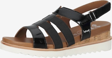 ARA Sandalen met riem in Zwart: voorkant