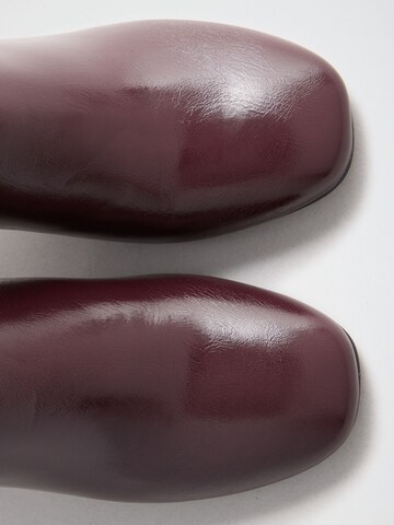 Lipsy Stiefelette in Lila