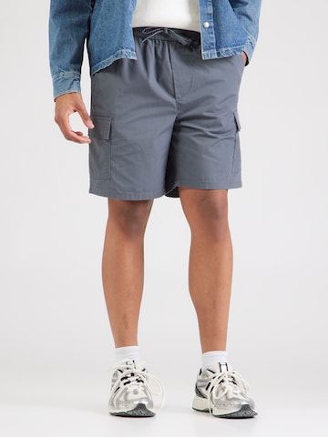 Only & Sons Обычный Брюки-карго 'ONSKAL' в Синий: спереди