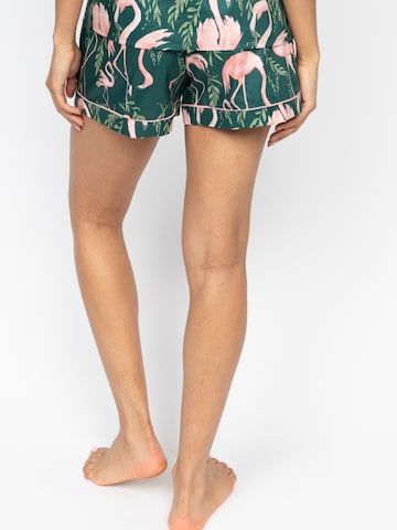 Cyberjammies Pyjamahose 'Ivy' in Grün