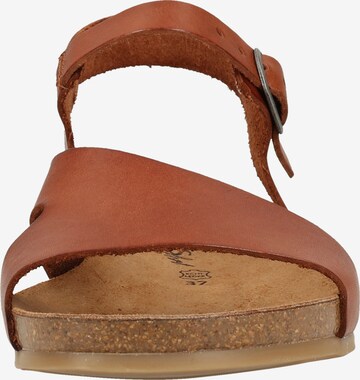 Sandales COSMOS COMFORT en marron