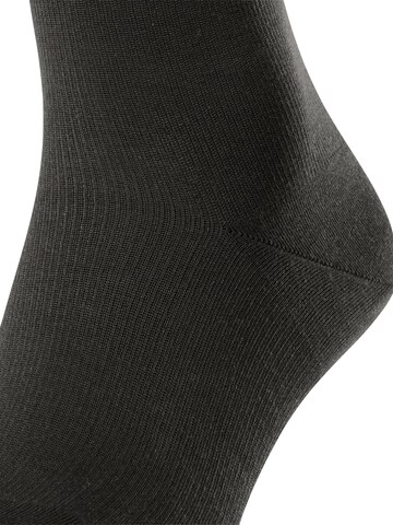 FALKE Kniestrümpfe 'Energizing Cotton'‌‌‌‌‌‌‌‌ in Braun