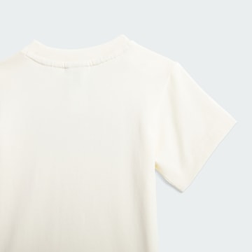 ADIDAS ORIGINALS Set 'AOP' in Braun