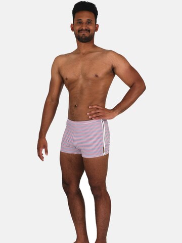 wavebreaker Zwemshorts in Gemengde kleuren