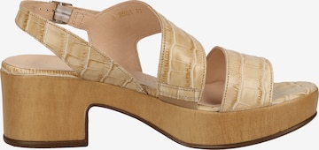 Wonders Sandalen met riem in Beige