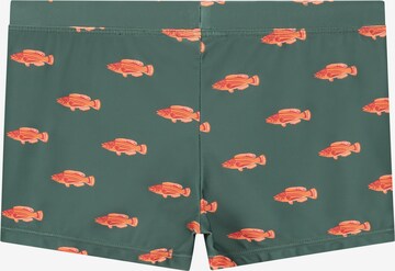 Shorts de bain Shiwi en vert