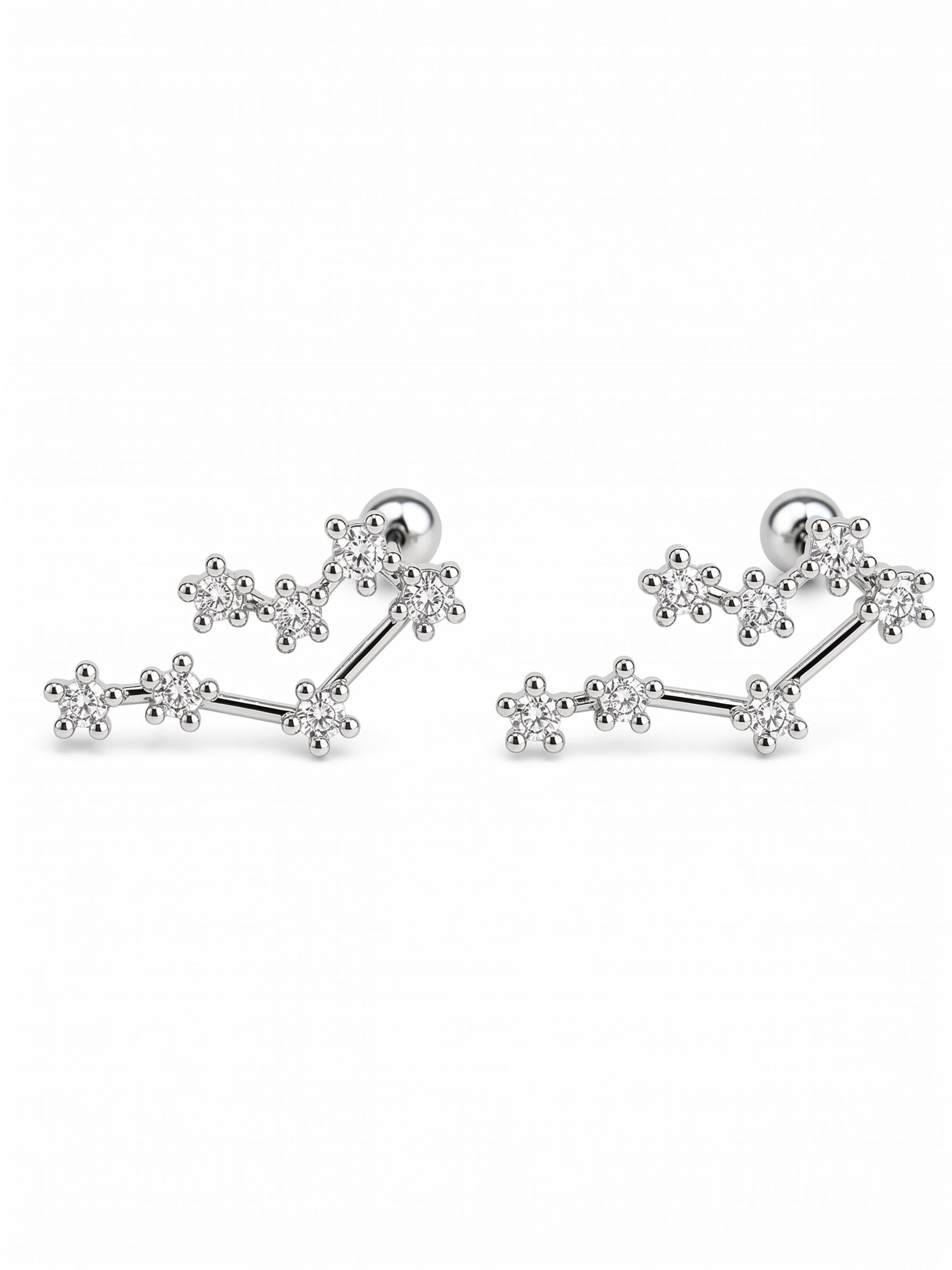 Kamakula Earrings 'Zodiac Zwillinge' in Silver: front