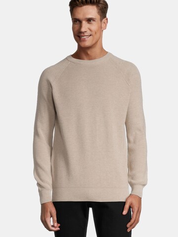 Pull-over Steffen Klein en beige : devant