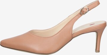 Högl Pumps in Brown