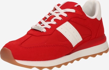 STEVE MADDEN Matalavartiset tennarit 'Percie' värissä punainen: etupuoli