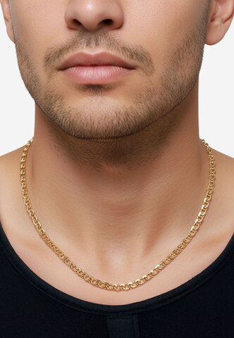 Heideman Necklace 'Ravi' in Gold