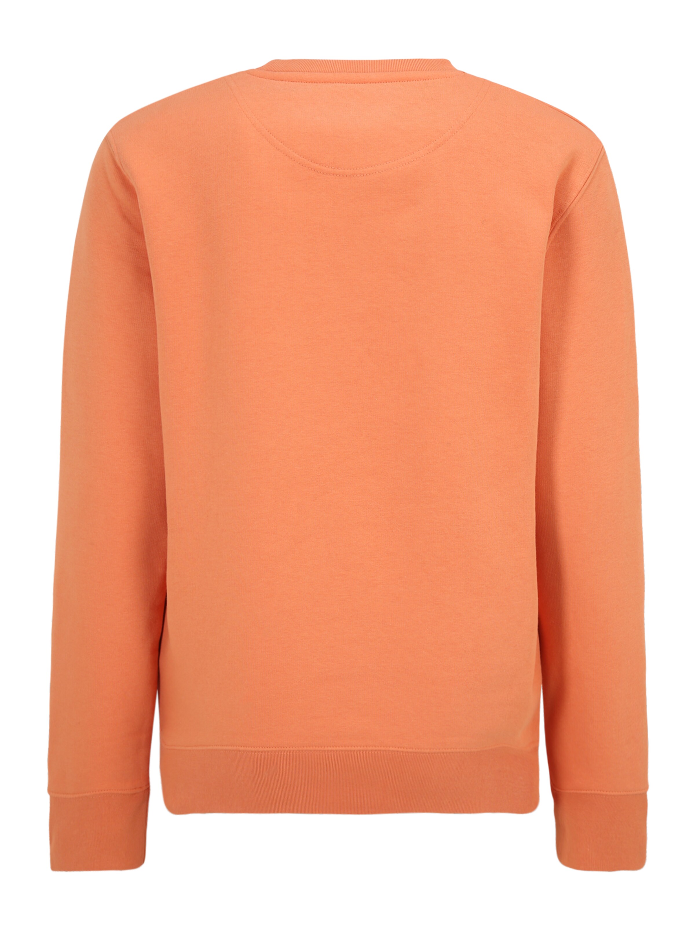 92 The Studio Sweatshirt i orange