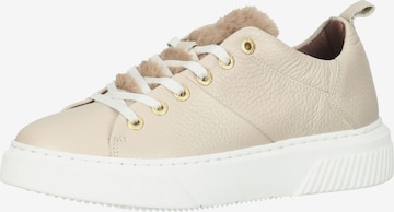 Baskets basses SCAPA en beige : devant