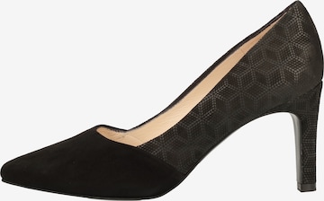 PETER KAISER Pumps in Black