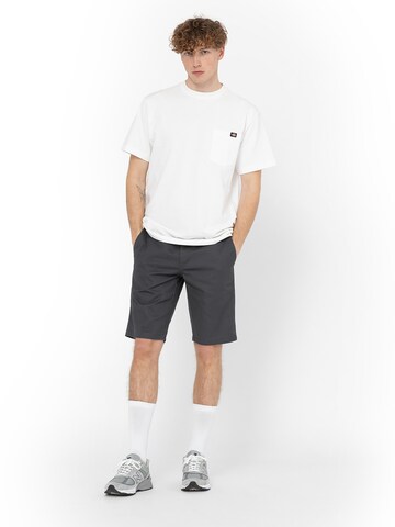 DICKIES Regular Shorts in Grau