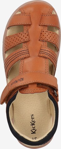 Kickers Sandalen in Braun