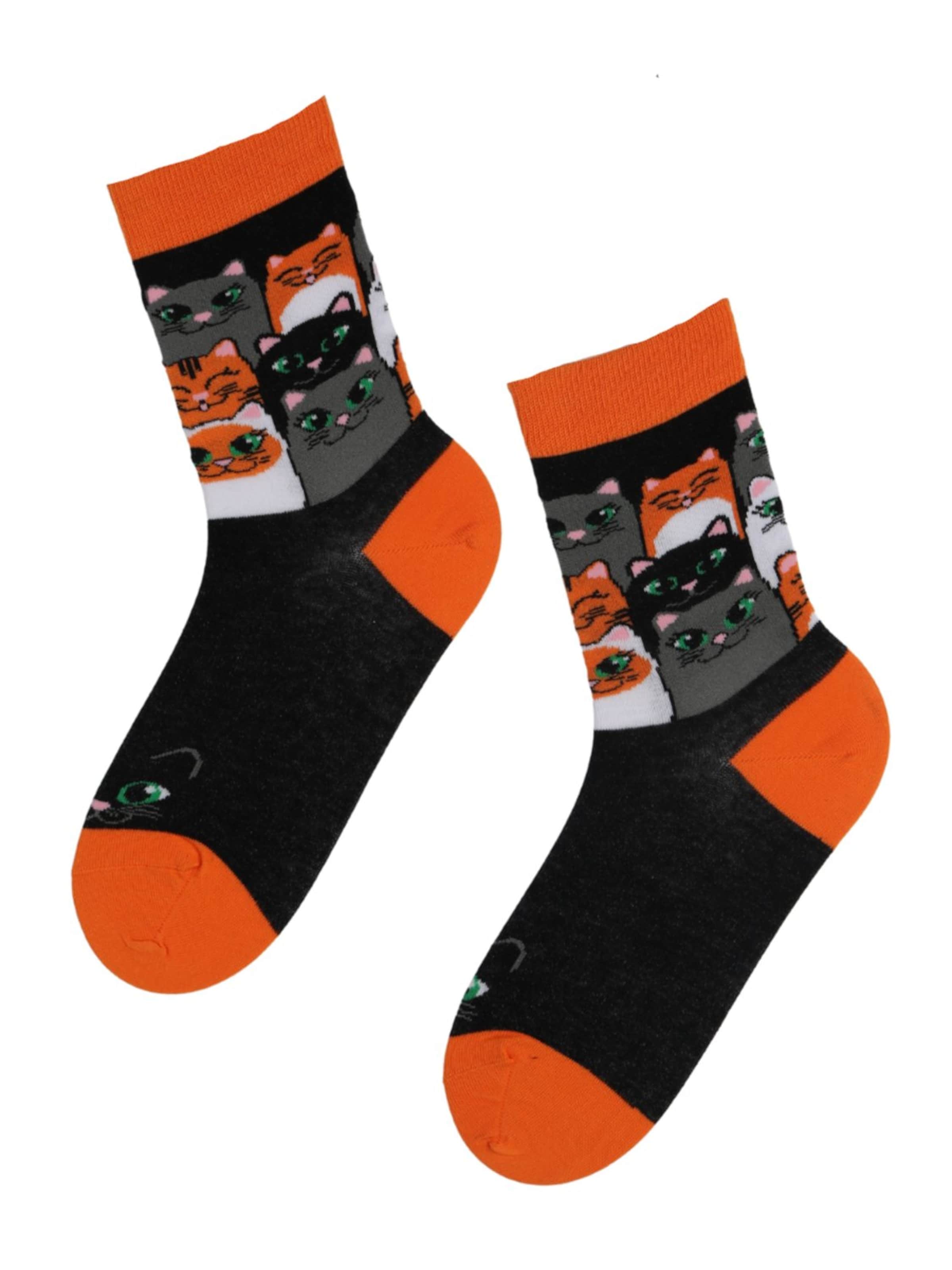 Sokisahtel Socks 'CATS PARTY funky colourful socks with cats' in Mixed colours: front