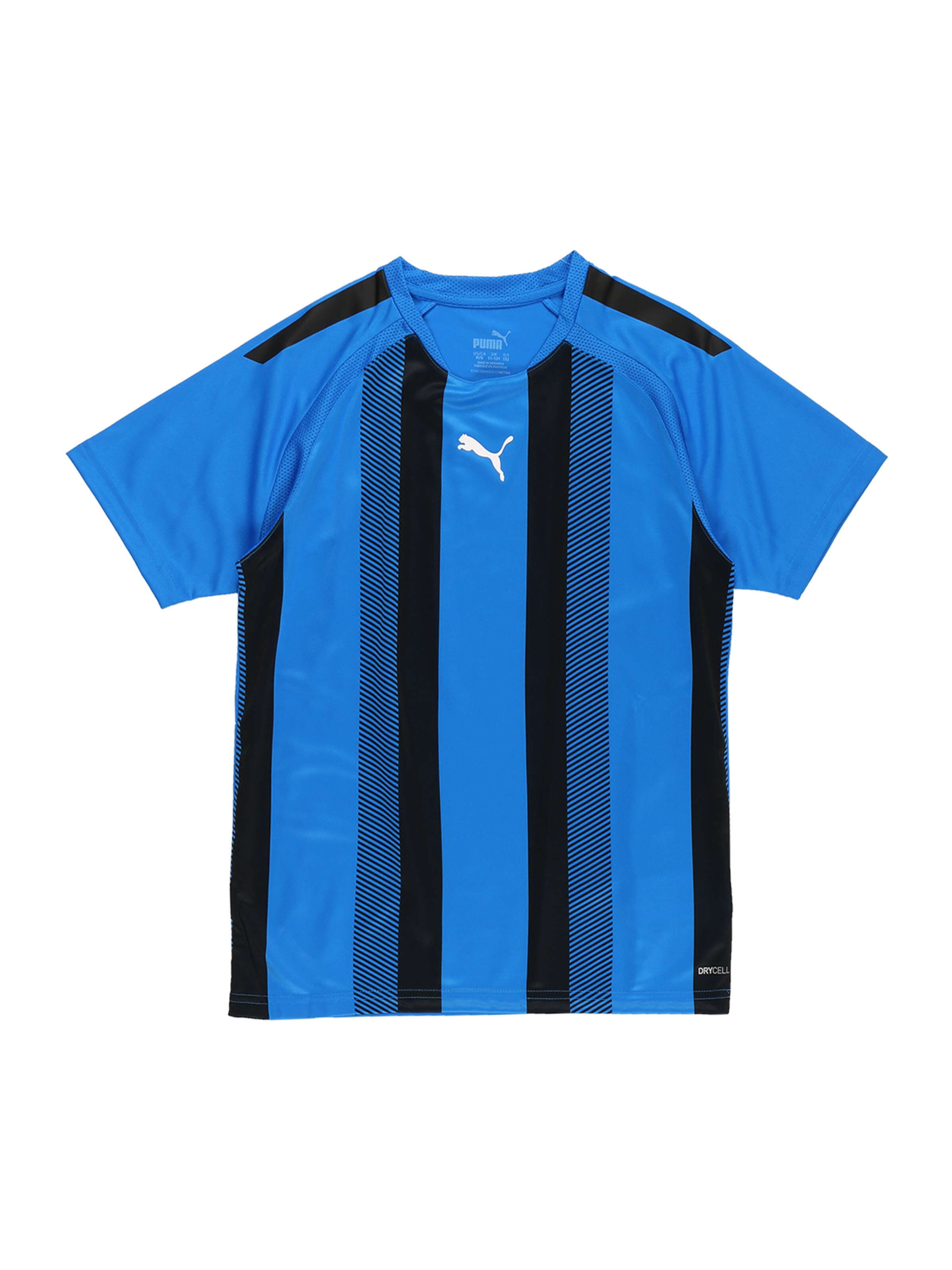 PUMA Performance Shirt 'Team Liga' in Blue: front