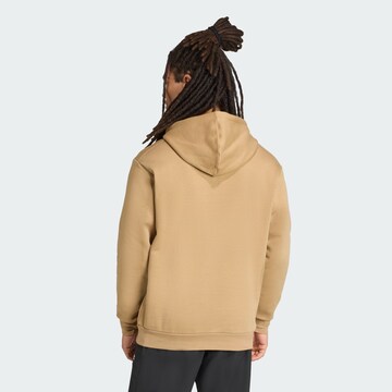 ADIDAS TERREX Sports sweatshirt in Brown