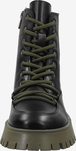 ILC Lace-Up Ankle Boots in Black