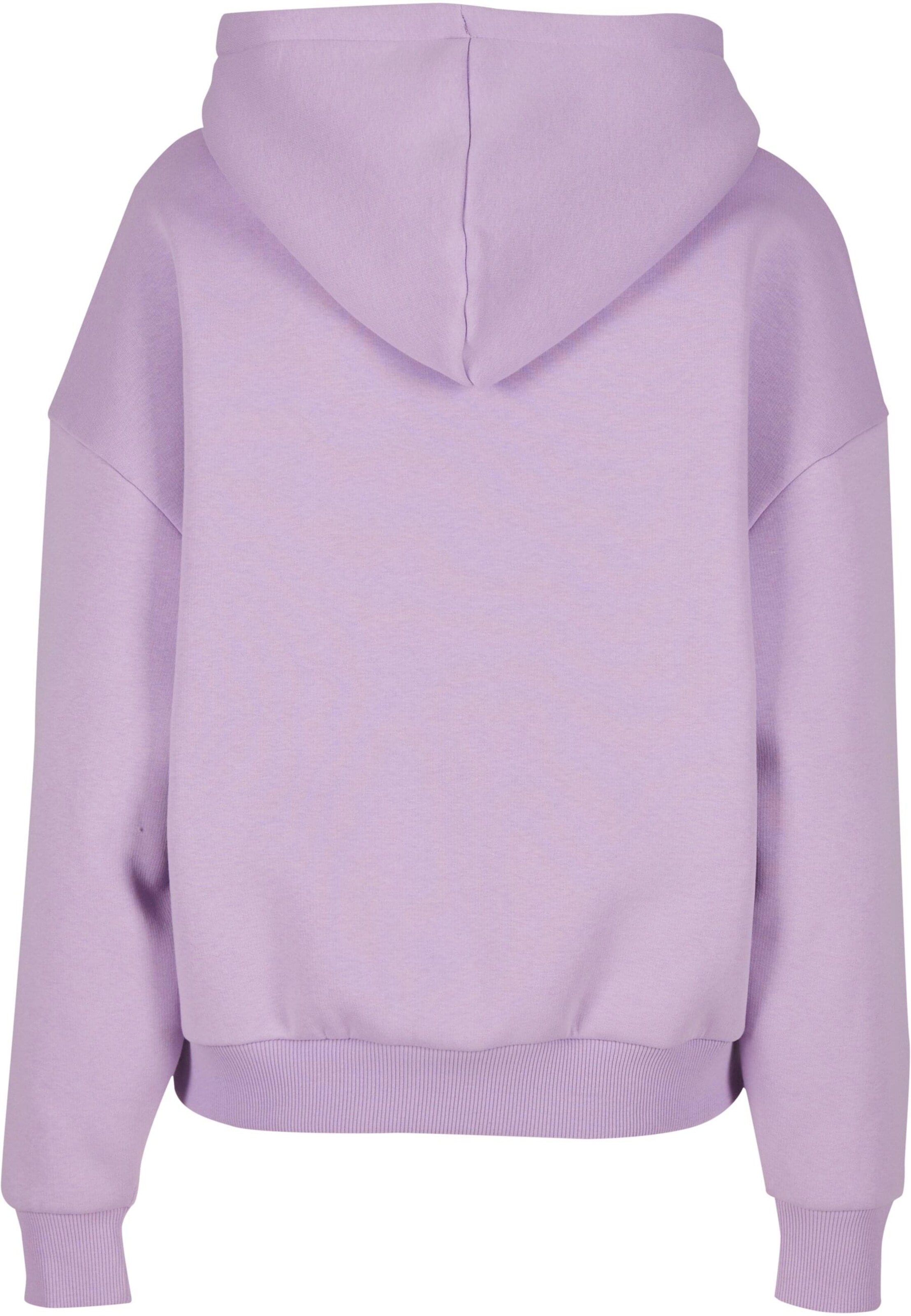 Sweat-shirt 'Essential' Karl Kani en violet