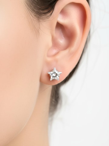 Maxte Earrings 'Stern' in Silver: front