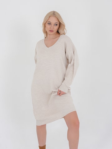 FRESHLIONS Knitted dress 'Rahel' in Beige: front