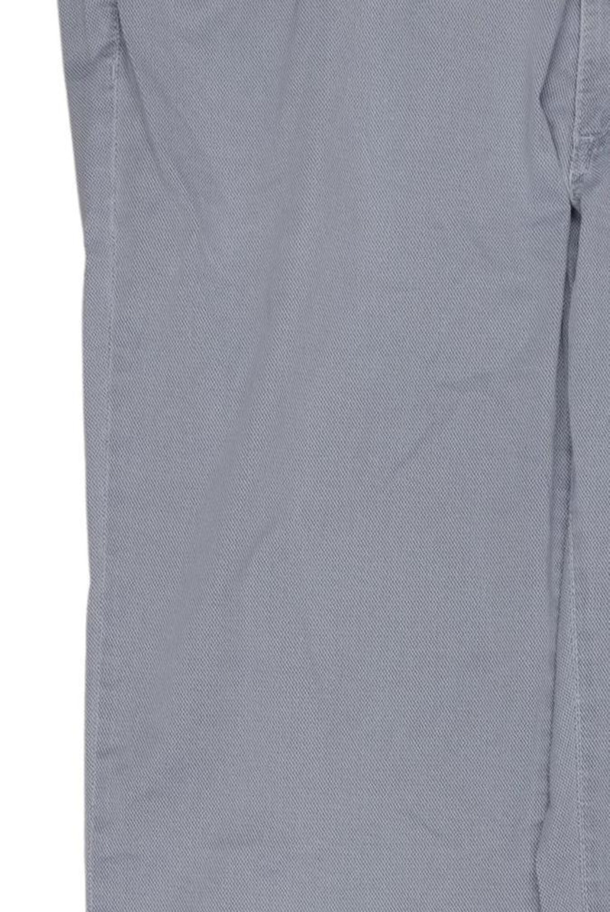 BRAX Pants in 38 in Grey