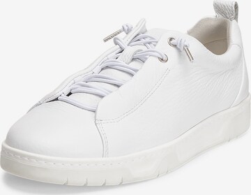 VITAFORM Sneakers laag in Wit: voorkant