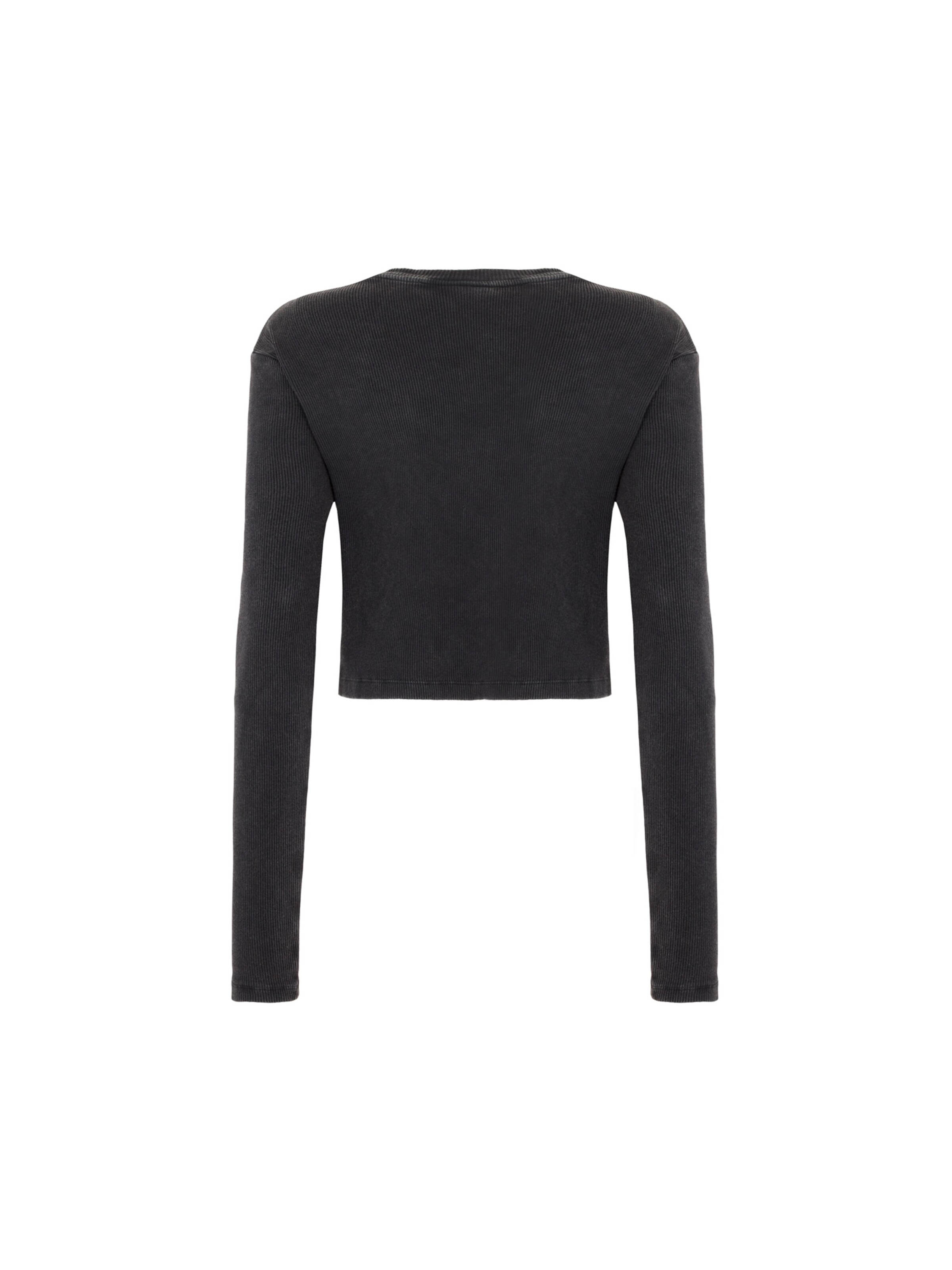 DICKIES Shirts 'PLENTYWOOD' i grå