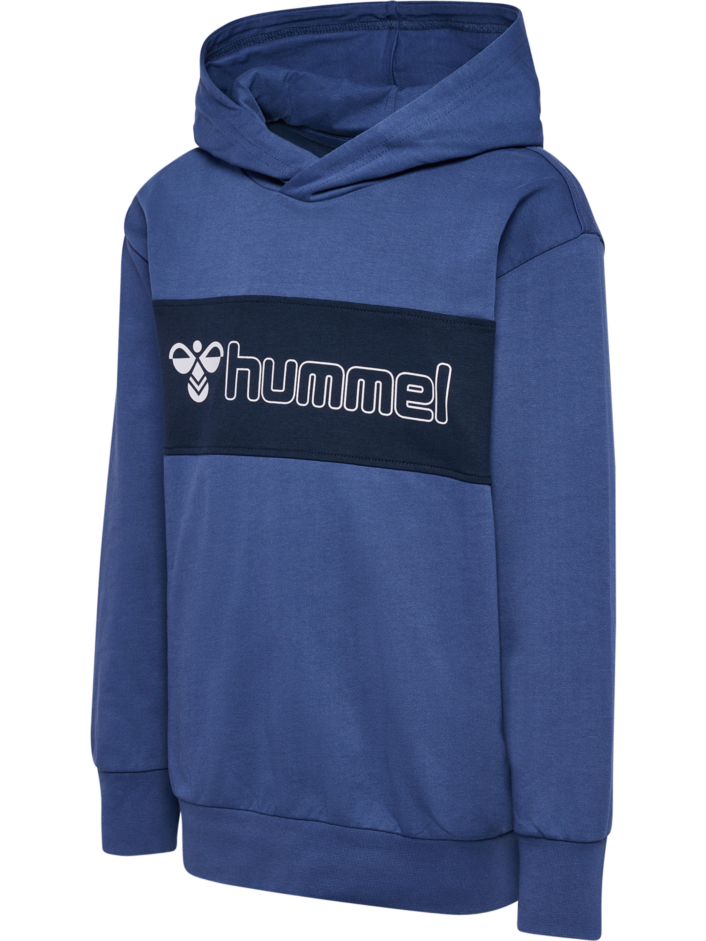 Hummel Sweatshirt 'Atlas' i blå