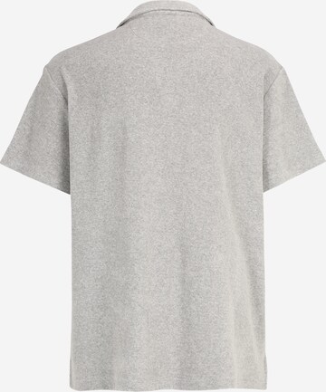 Polo Ralph Lauren Big & Tall Majica | siva barva