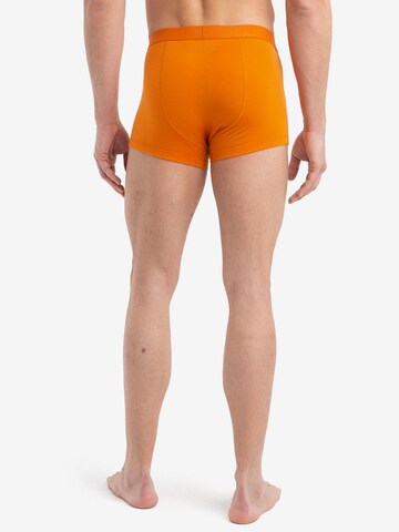 Pantaloncini intimi sportivi 'Anatomica' di ICEBREAKER in arancione