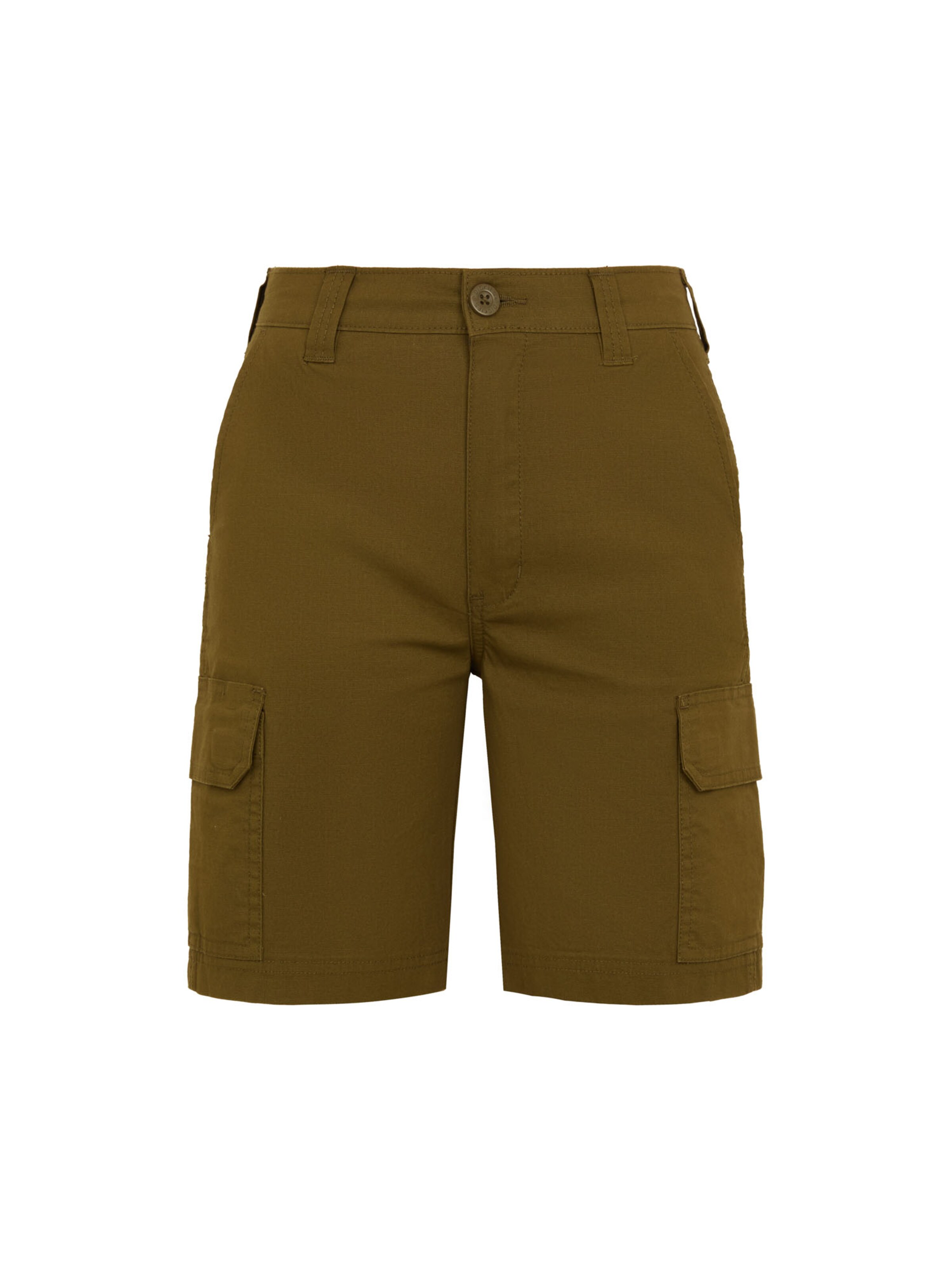 DICKIES Štandardný strih Nohavice - Zelená: predná strana