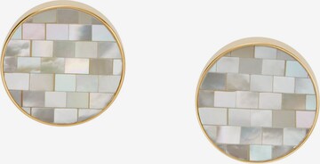 SKAGEN Earrings in Gold: front