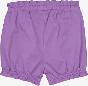 Fred's World by GREEN COTTON Regular Pants '2er-Pack' in Purple