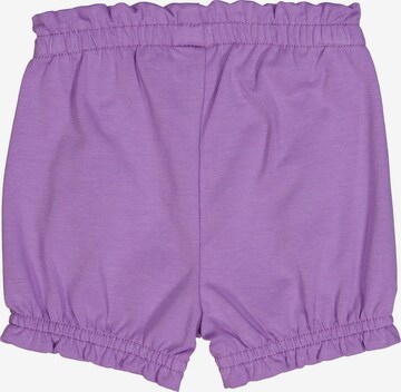 Fred's World by GREEN COTTON Regular Stoffshorts '2er-Pack' in Lila