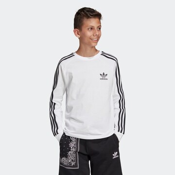 T-Shirt ADIDAS ORIGINALS en blanc : devant