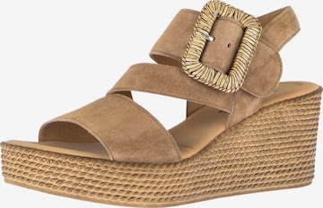 Sandales GABOR en marron : devant